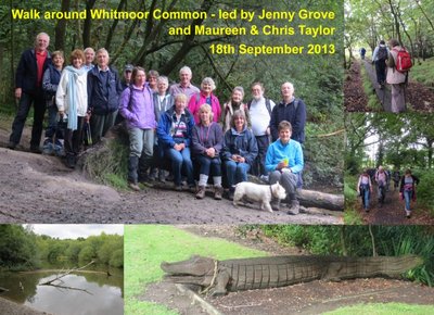 Worplesdon and Whitmoor Common Walk - 18th September 2013