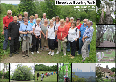 Sheepleas Evening Walk - 24th June 2015