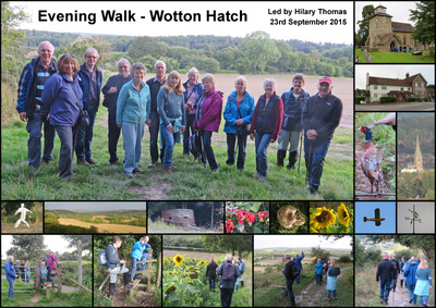 Wotton Hatch Evening Walk - 23rd September 2015