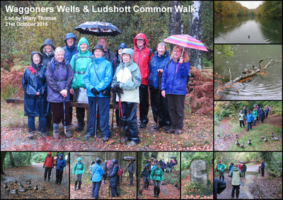 Waggoners Wells and Ludshott Common Walk - 21st October 2015