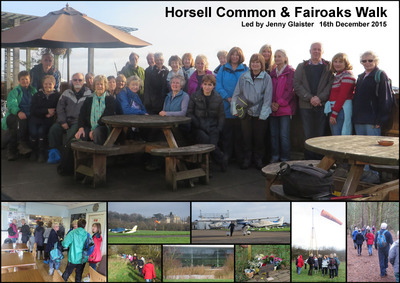 Horsell Common to Fairoaks Walk - 16th December 2015