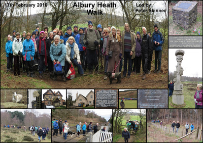 Walk - Albury Heath - 17th February 2016