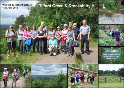 Walk - Tilford Green & Crooksbury Hill - 15th June 2016