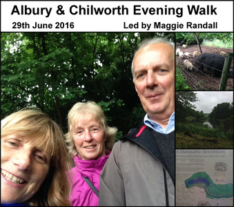 Evening Walk - Albury & Chilworth - 29th June 2016