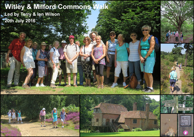 Walk - Witley & Milford Commons - 20th July 2016