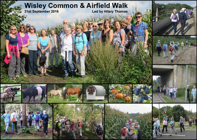 Walk - Wisley Common & Airfield - 21st September 2016