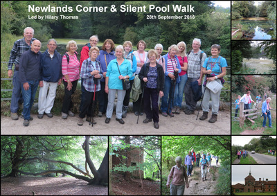 Evening Walk - Newlands Corner - 28th September 2016