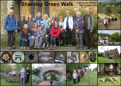 Walk - Shamley Green - 19th October 2016