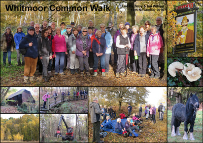 Walk - Whitmoor and Rickford Commons - 16th November 2016