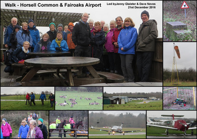 Walk - Horsell Common and Fairoaks Airport - 21st December 2016