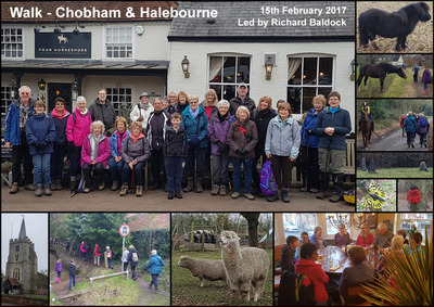 Walk - Chobham and Halebourne - 15th Febuary 2017