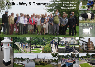 Walk - The Thames Path & Wey Navigation - Wednesday 16th August 2017