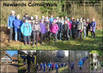 Walk - Newlands Corner - 17th January 2018