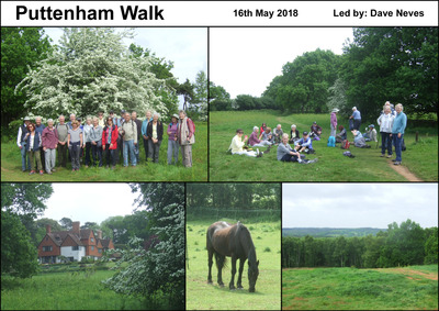 Walk - Puttenham Common - 16th May 2018