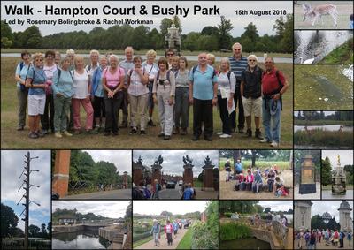 Walk - Hampton Court and Bushy Park - 15th August 2018