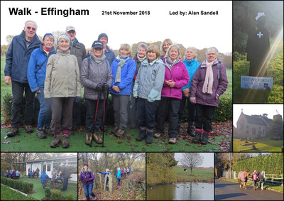 Walk - Effingham - 21st November 2018