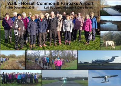 Walk - Horsell Common and Fairoaks Airport - 19th December 2018