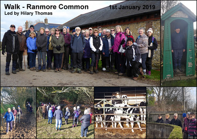 Walk - White Down & Dunley Hill on Ranmore Common - 1st January 2019
