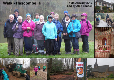 Walk - Hascombe Hill - 16th January 2019