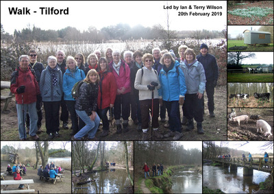 Walk - Tilford - 20th February 2019