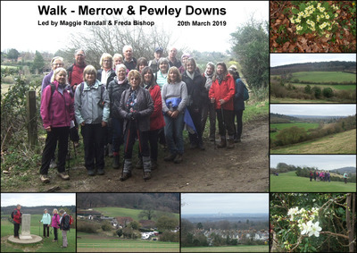 Walk - Merrow & Pewley Downs - 20th March 2019
