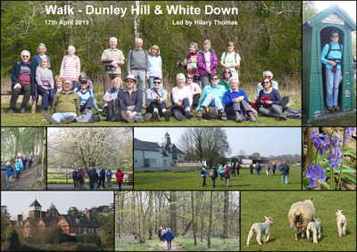 Walk - Dunley Hill & White Down - 17th April 2019