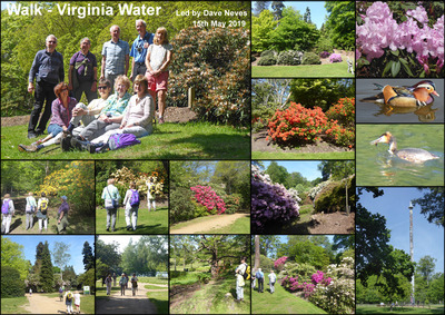 Walk - Virginia Water - 15th May 2019