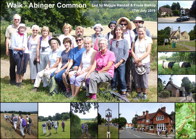 Walk - Abinger Common and North Downs - 17th July 2019