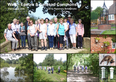 Walk - Epsom and Ashtead Commons - 21st August 2019