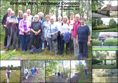Evening walk - Whitmoor Common - 4th September 2019