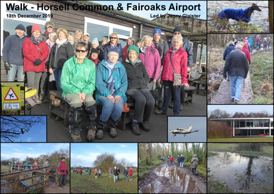 Walk - Horsell Common and Fairoaks Airport - 18th December 2019