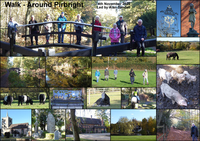 Walk - Around Pirbright - 4th November 2020