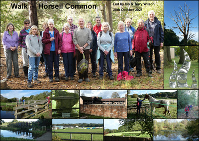 Walk - Horsell Common - 20th October 2021