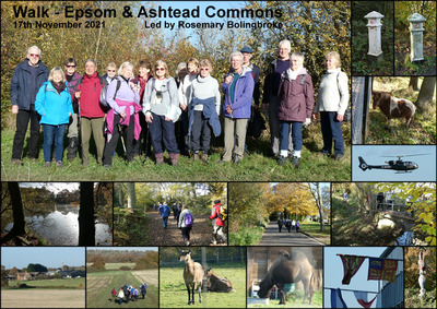 Walk - Epsom & Ashtead Commons - 17th November 2021