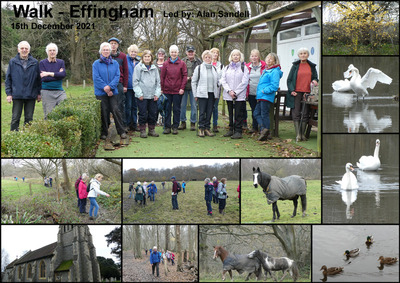 Walk - Effingham - 15th December 2021