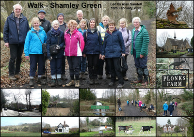 Walk - Shamley Green - 16th February 2022