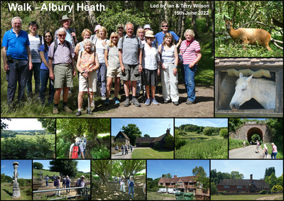 Walk - Albury Heath & Farley Green - 15th June