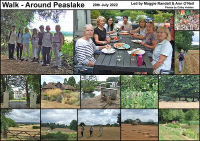 Walk - Around Peaslake - 20th July 2022