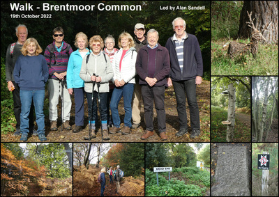 Walk - Brentmoor Common & Donkey Town - 19th October 2022
