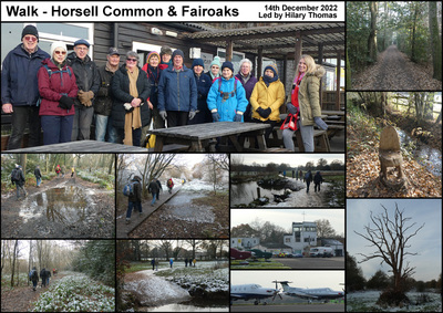 Walk - Horsell Common & Fairoaks - 14th December 2022