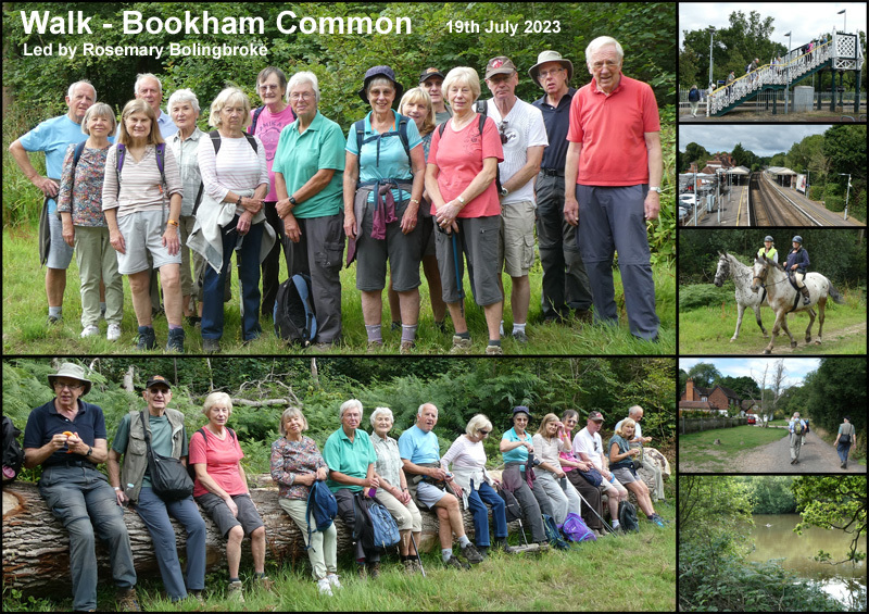 Walk - Bookham Common - 19th July 2023 - Woking Leisure Centre 50+ Club