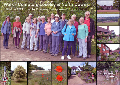 Walk - Compton, Loseley & North Downs - 19th June 2024