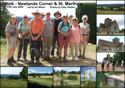 Walk - Newlands Corner & St. Martha's - 17th July 2024