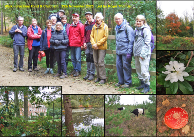 Walk - Gracious Pond & Chobham - 20th October 2025